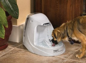 Automatic Dog Water Bowl