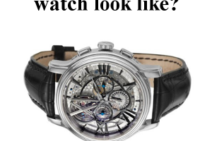 Most Expensive Watch on Amazon