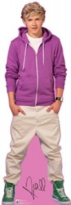 One Direction Niall Cutout