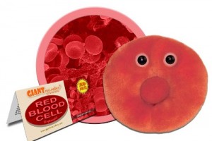 Red Blood Cell Plushie