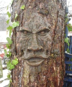 Tree Face Plaque Staring